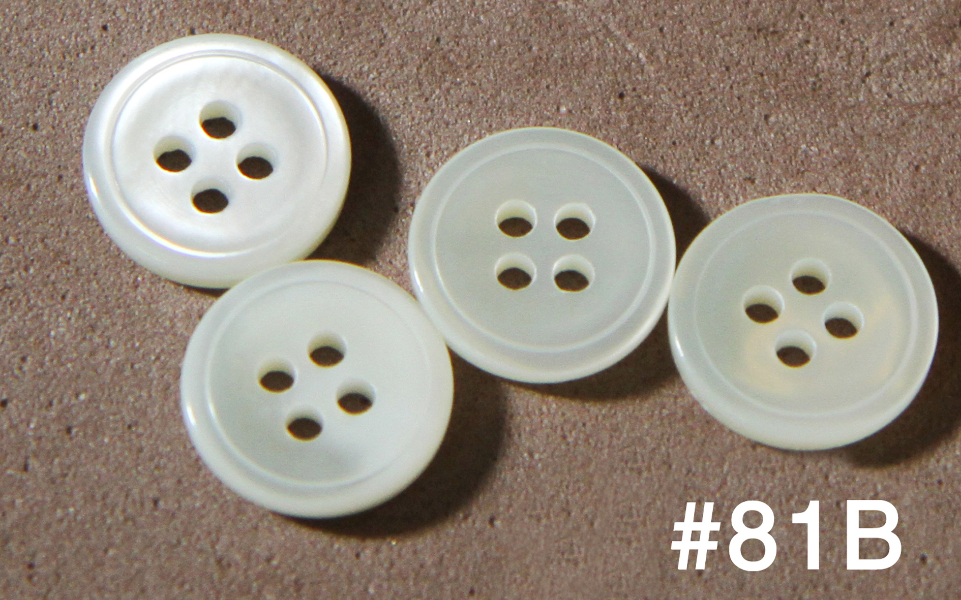 #81B TEN